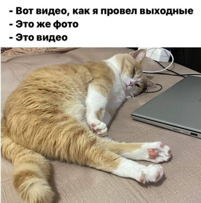 Картинки для настроения в пятницу