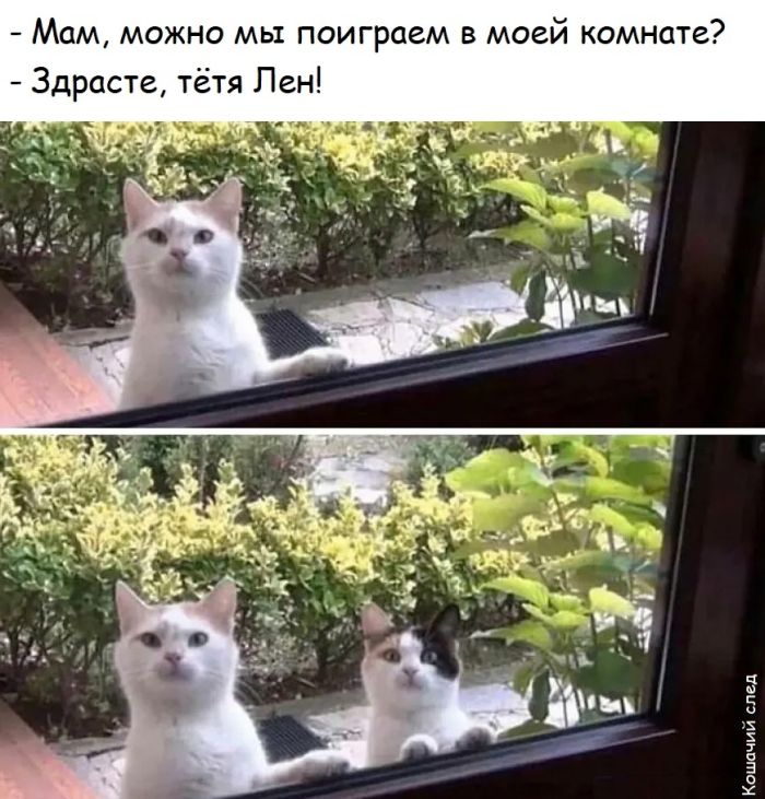 Самые лучшие мемы на выходные Самые лучшие мемы на выходные native-yes