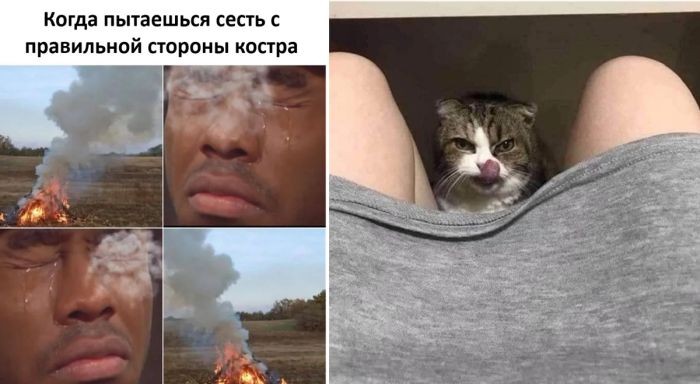 Самые лучшие приколы дня