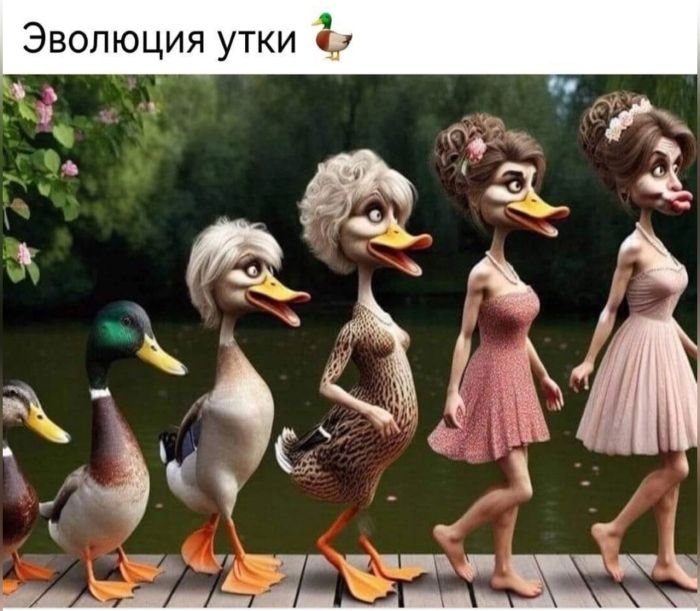 Лучшие мемы на выходные Лучшие мемы на выходные native-yes