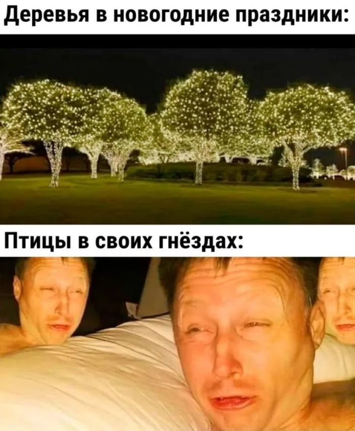 Лучшие позитивные фото приколы и мемы native-yes