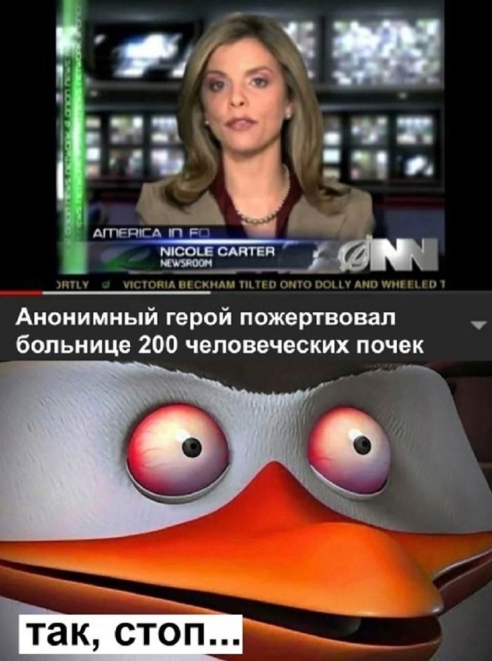 Лучшие шутки на выходные Лучшие шутки на выходные native-yes