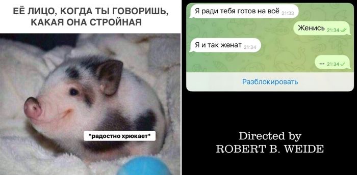 Самые смешные картинки и мемы недели