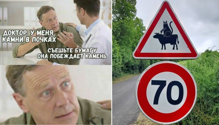 Подборка мемов и фото для отличного настроения