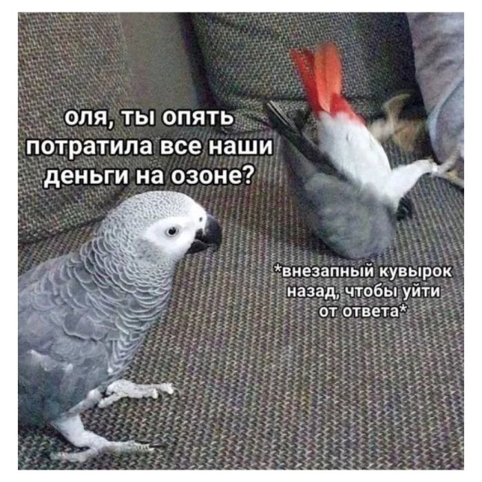 Лучшие шутки на выходной Лучшие шутки на выходной native-yes