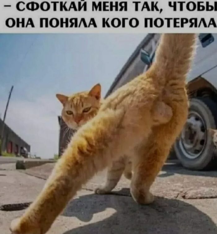 https://yaustal.com/uploads/posts/2025-06/medium/c0d7a89d78_do-slez-smeshnye-i-poshlye-memy-15.jpg