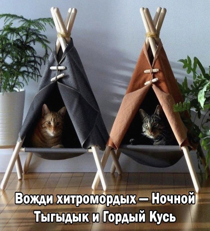 Лучшие мемы на выходные Лучшие мемы на выходные native-yes