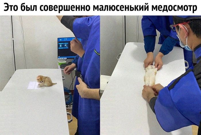 Мемы для тех кто хочет улыбнуться Мемы для тех кто хочет улыбнуться native-yes