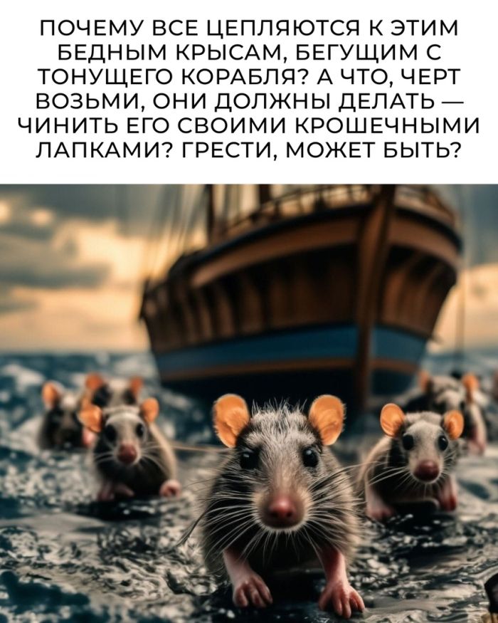 Лучшие мемы на выходные Лучшие мемы на выходные native-yes