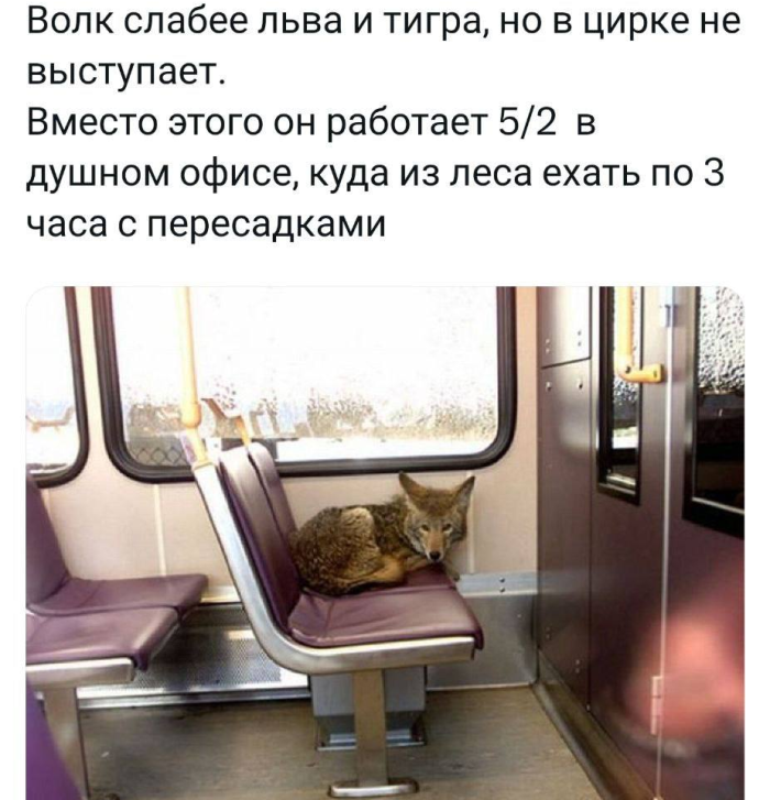 Лучшие шутки на выходной Лучшие шутки на выходной native-yes