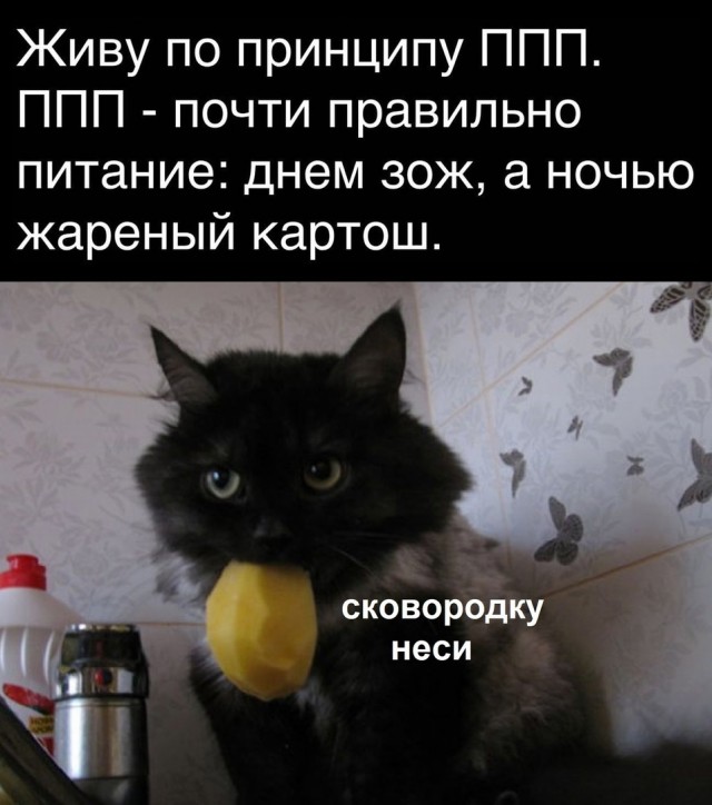Сборник юмора в мемах на выходной для поднятия настроения Сборник юмора в мемах на выходной для поднятия настроения native-yes