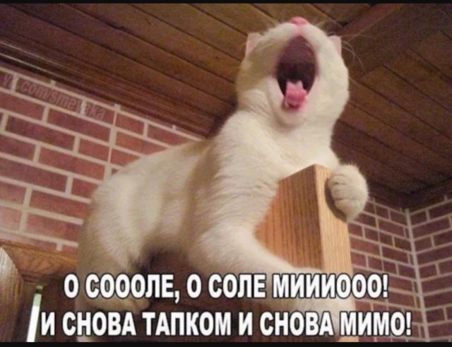 Много новых шуток в мемах на понедельник Много новых шуток в мемах на понедельник native-yes