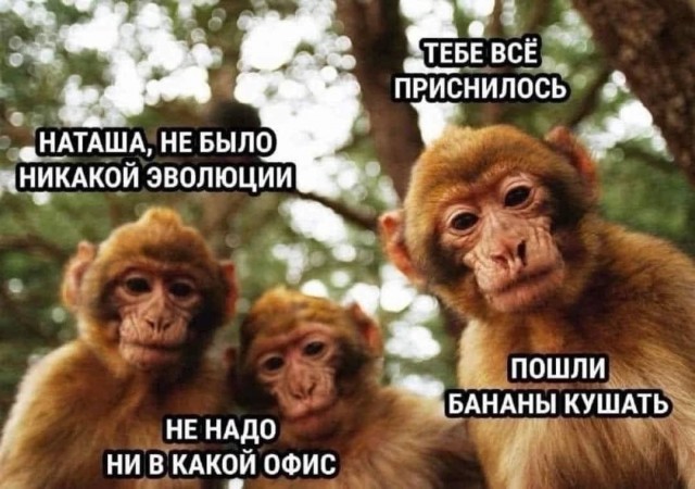 Новые мемы для поднятия настроения в пятницу native-yes