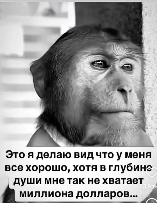Маленькая Пятница: Большой Сборник Мемов и Приколов для Поднятия Настроения! Маленькая Пятница: Большой Сборник Мемов и Приколов для Поднятия Настроения! native-yes