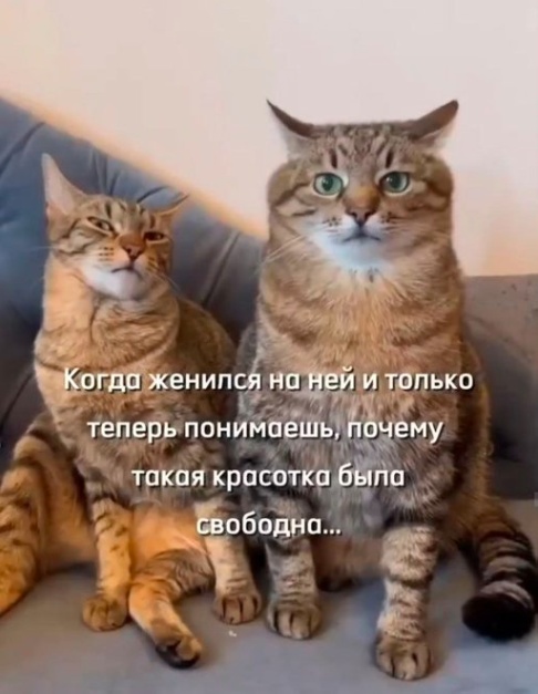 Маленькая Пятница: Большой Сборник Мемов и Приколов для Поднятия Настроения! Маленькая Пятница: Большой Сборник Мемов и Приколов для Поднятия Настроения! native-yes