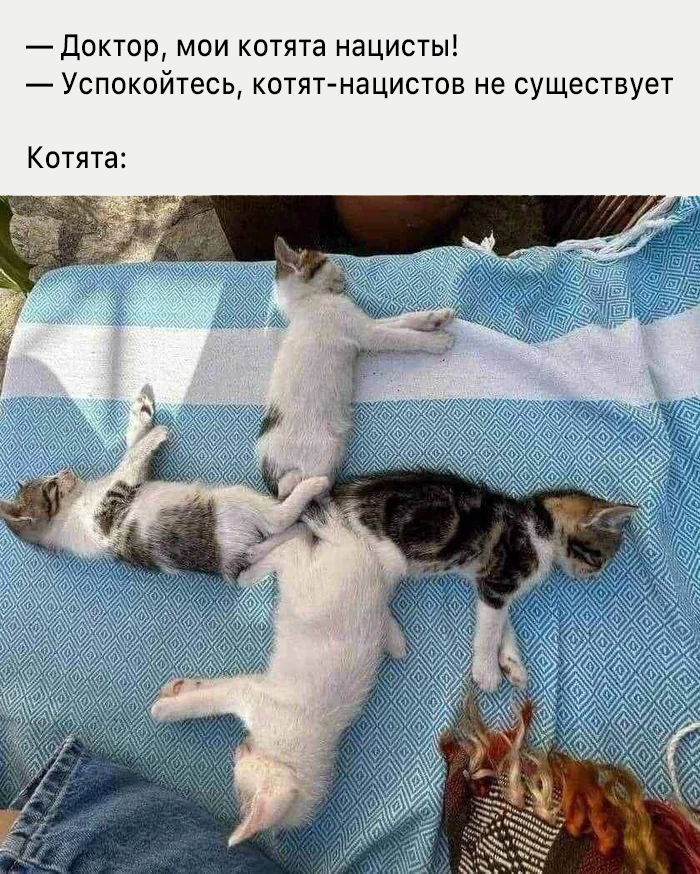 Большой сборник картинок и мемов на выходные Большой сборник картинок и мемов на выходные native-yes