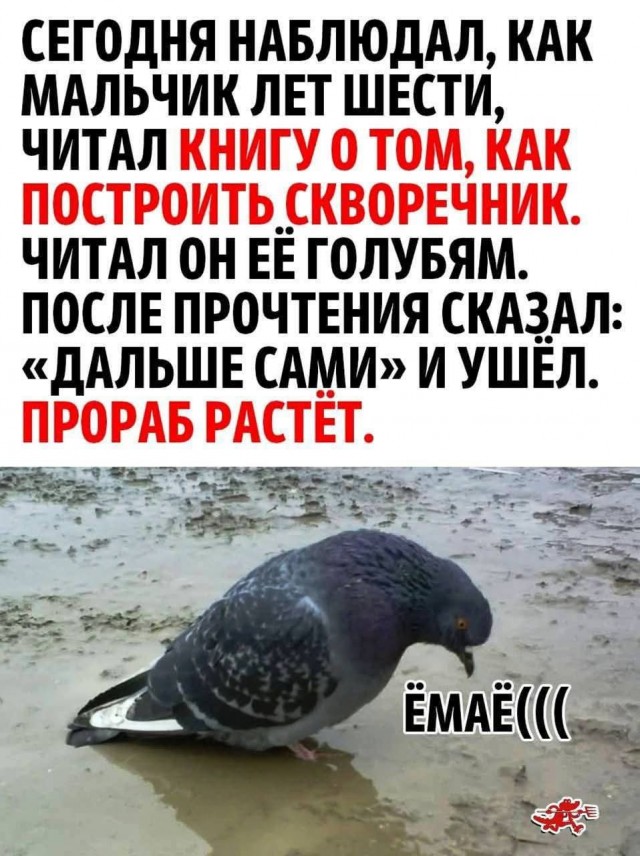 Юмор для позитивного старта очередной рабочей недели Юмор для позитивного старта очередной рабочей недели native-yes