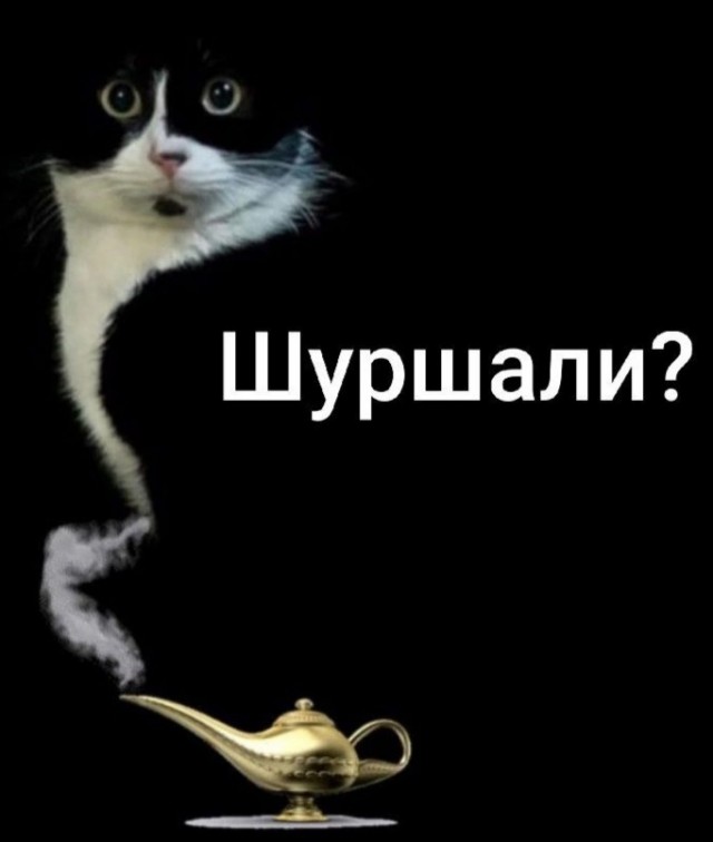 Среда – не повод грустить! Заряжаемся позитивом с новым сборником юмора! Среда – не повод грустить! Заряжаемся позитивом с новым сборником юмора! native-yes