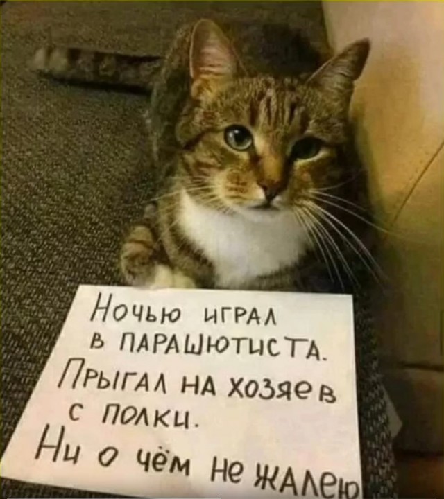 Много новых шуток в мемах на понедельник Много новых шуток в мемах на понедельник native-yes