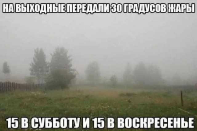 Маленькая Пятница: Большой Сборник Мемов и Приколов для Поднятия Настроения! Маленькая Пятница: Большой Сборник Мемов и Приколов для Поднятия Настроения! native-yes