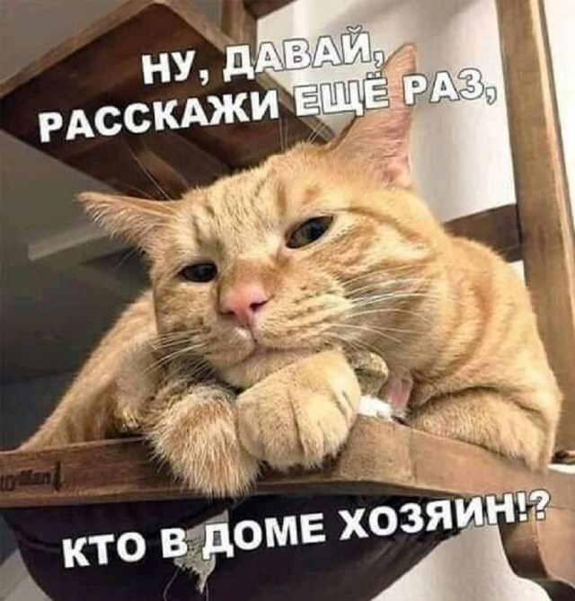 Новые мемы для поднятия настроения в пятницу native-yes