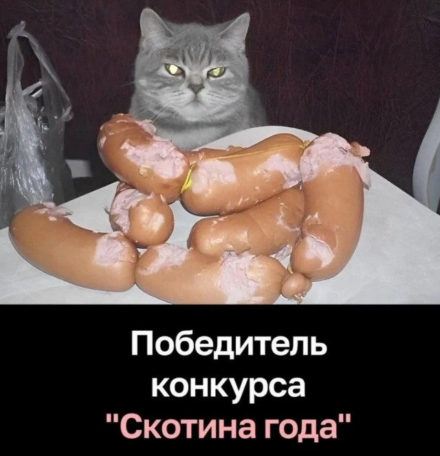 Маленькая Пятница: Большой Сборник Мемов и Приколов для Поднятия Настроения! Маленькая Пятница: Большой Сборник Мемов и Приколов для Поднятия Настроения! native-yes