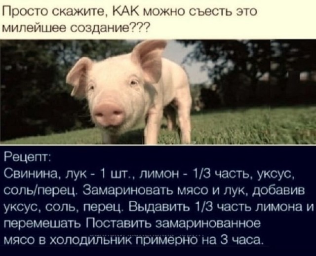 Большой сборник шуток чтобы провести выходной на позитиве native-yes