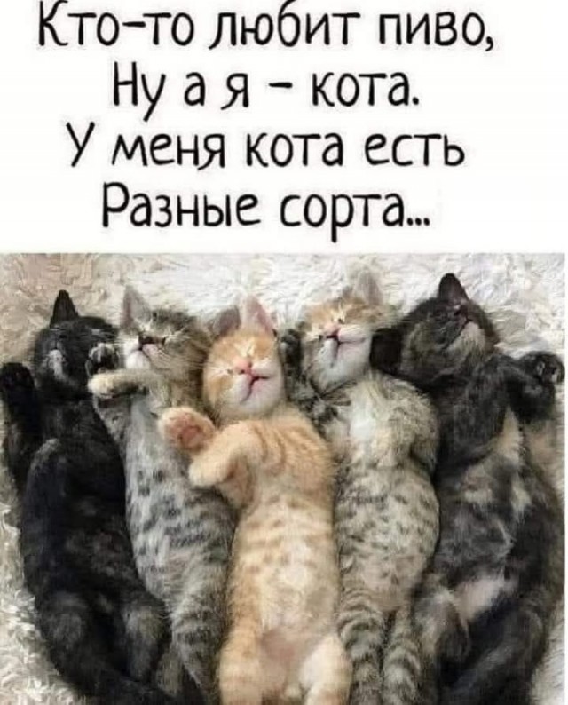 Сборник юмора в мемах на выходной для поднятия настроения Сборник юмора в мемах на выходной для поднятия настроения native-yes