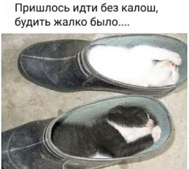 Ура, выходные! Время для смеха и отличного настроения!  native-yes