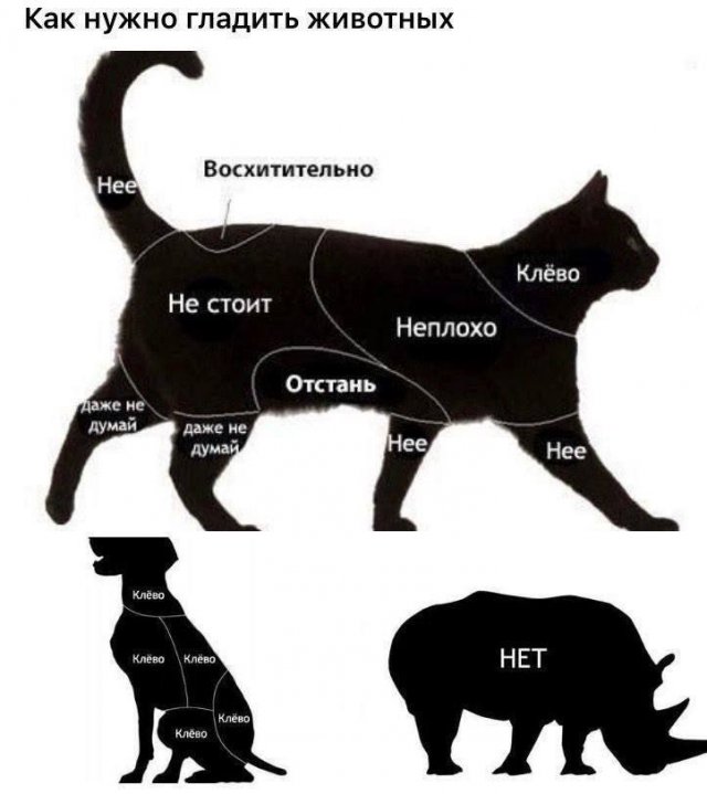 Сборник юмора в мемах на выходной для поднятия настроения Сборник юмора в мемах на выходной для поднятия настроения native-yes