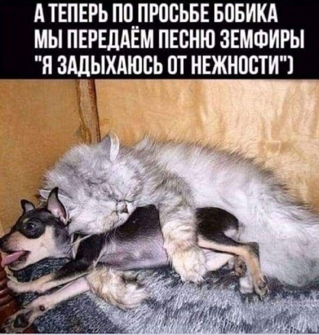 Много новых шуток в мемах на понедельник Много новых шуток в мемах на понедельник native-yes