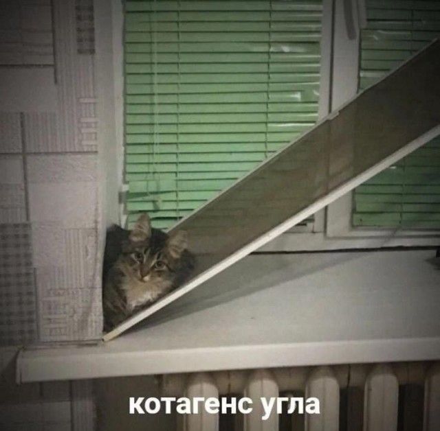Среда – не повод грустить! Заряжаемся позитивом с новым сборником юмора! Среда – не повод грустить! Заряжаемся позитивом с новым сборником юмора! native-yes