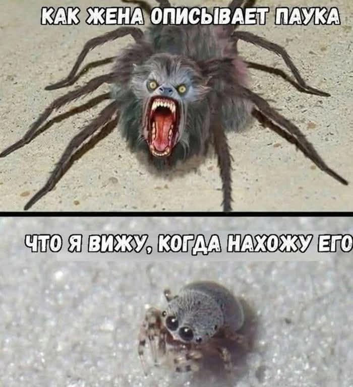 Сборник юмора в мемах на выходной для поднятия настроения Сборник юмора в мемах на выходной для поднятия настроения native-yes