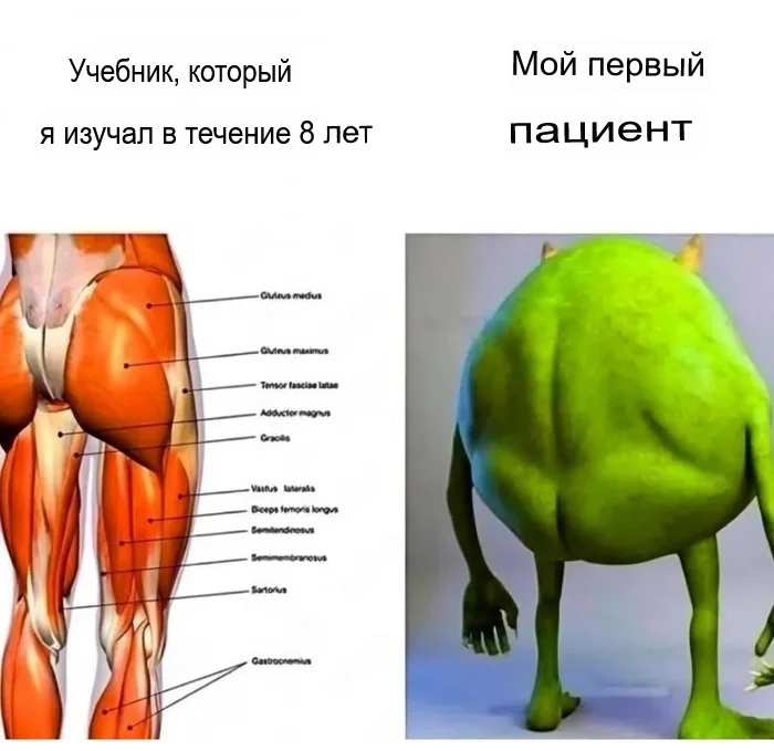 Лучшие мемы для настроения