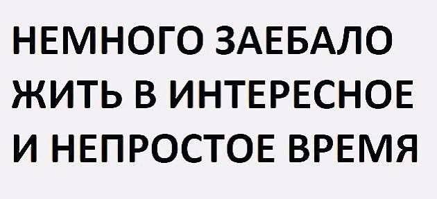 Маленькая Пятница: Большой Сборник Мемов и Приколов для Поднятия Настроения! Маленькая Пятница: Большой Сборник Мемов и Приколов для Поднятия Настроения! native-yes