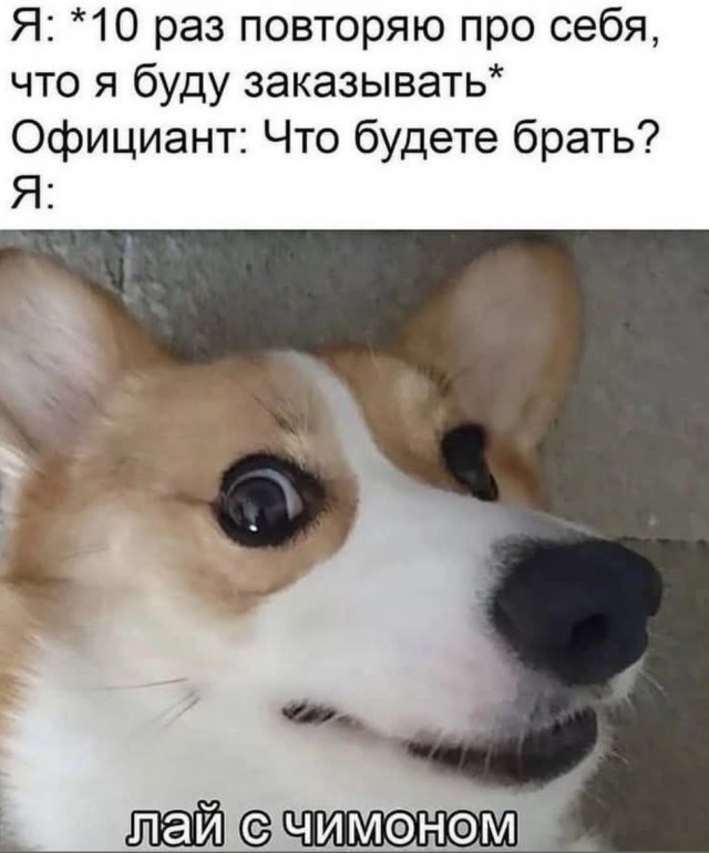 Среда – не повод грустить! Заряжаемся позитивом с новым сборником юмора! Среда – не повод грустить! Заряжаемся позитивом с новым сборником юмора! native-yes