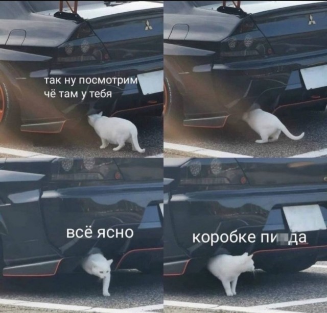 Большой сборник шуток чтобы провести выходной на позитиве native-yes
