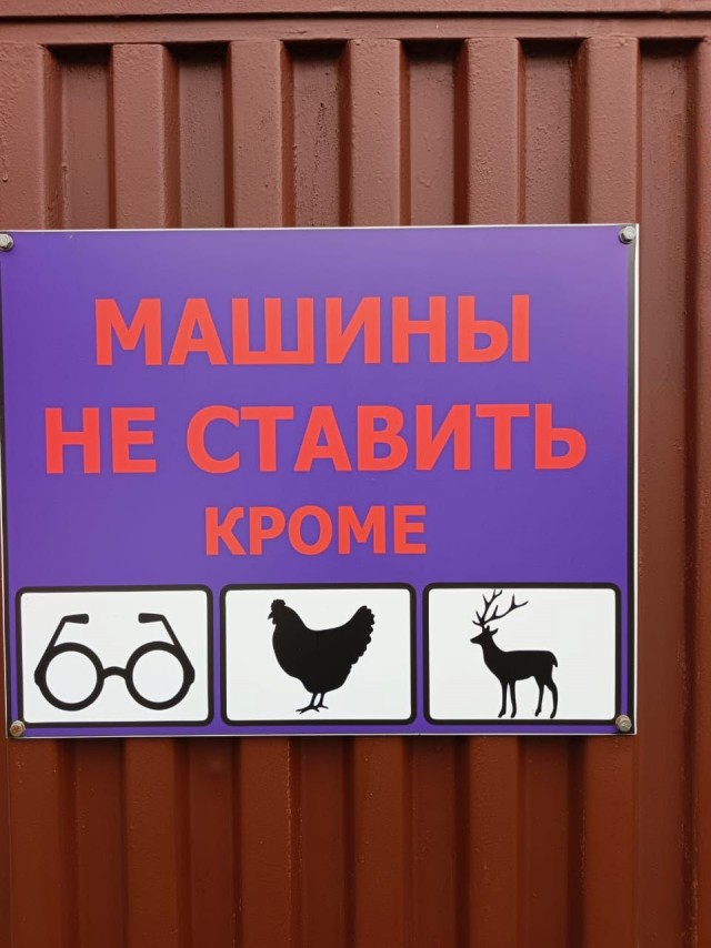 Ура, выходные! Время для смеха и отличного настроения!  native-yes