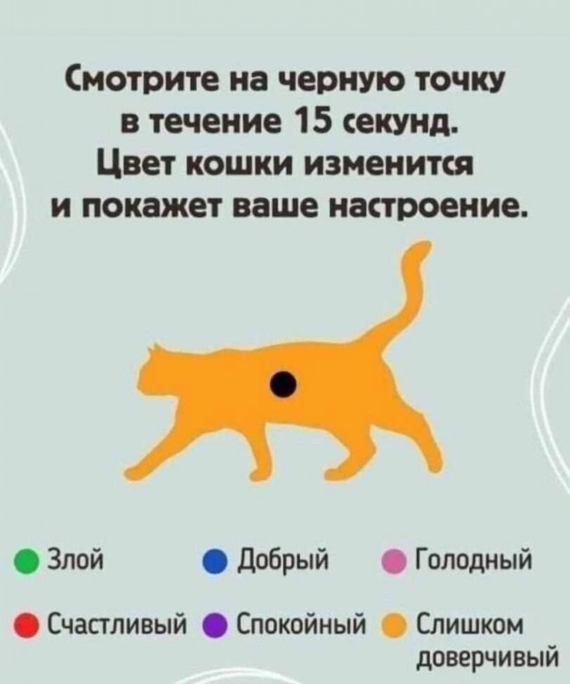 Новые мемы для поднятия настроения в пятницу native-yes