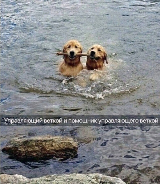 Среда – не повод грустить! Заряжаемся позитивом с новым сборником юмора! Среда – не повод грустить! Заряжаемся позитивом с новым сборником юмора! native-yes