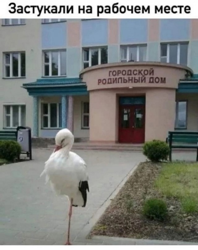 Большой сборник картинок и мемов на выходные Большой сборник картинок и мемов на выходные native-yes