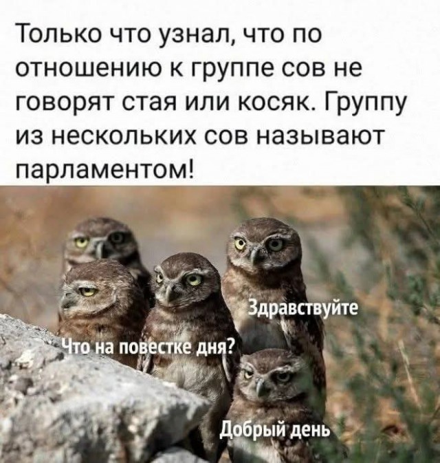 Юмор для позитивного старта очередной рабочей недели Юмор для позитивного старта очередной рабочей недели native-yes
