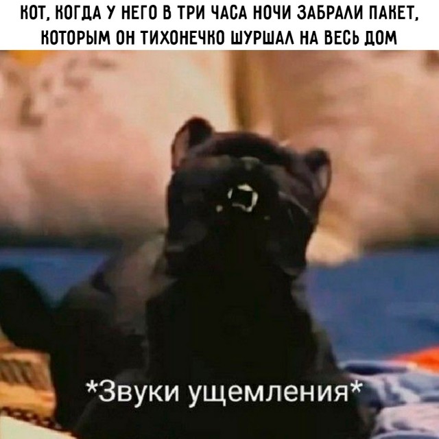 Много новых шуток в мемах на понедельник Много новых шуток в мемах на понедельник native-yes
