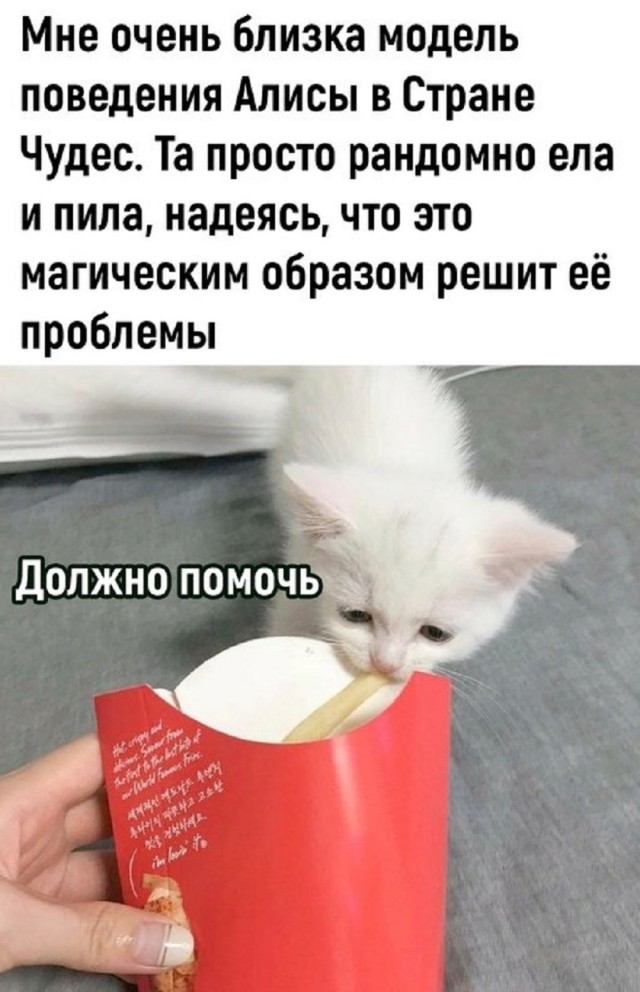 Много новых шуток в мемах на понедельник Много новых шуток в мемах на понедельник native-yes