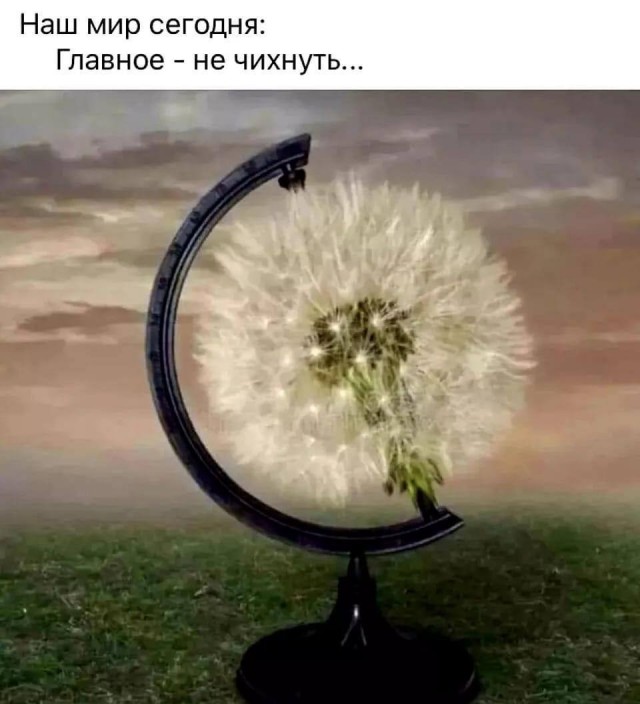Ура, выходные! Время для смеха и отличного настроения!  native-yes