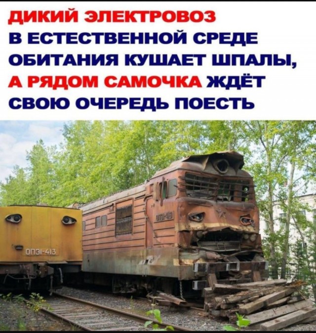 Большой сборник картинок и мемов на выходные Большой сборник картинок и мемов на выходные native-yes
