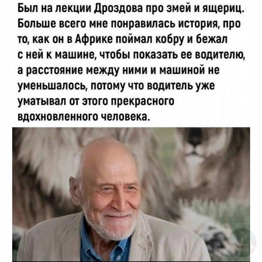 Сборник юмора в мемах на выходной для поднятия настроения Сборник юмора в мемах на выходной для поднятия настроения native-yes