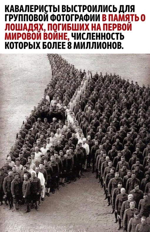 Юмор для позитивного старта очередной рабочей недели Юмор для позитивного старта очередной рабочей недели native-yes