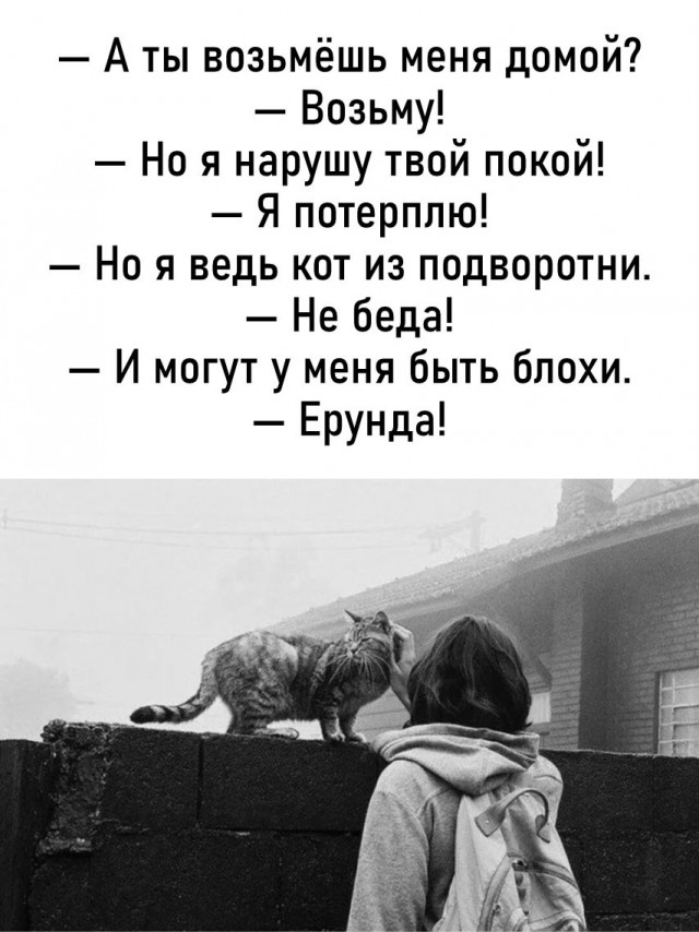 Большой сборник картинок и мемов на выходные Большой сборник картинок и мемов на выходные native-yes