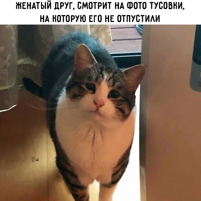 Сборник юмора в мемах на выходной для поднятия настроения Сборник юмора в мемах на выходной для поднятия настроения native-yes